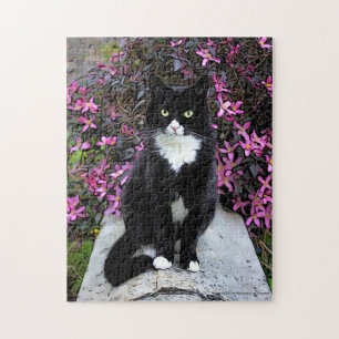 Katt efter rosa bush. pussel