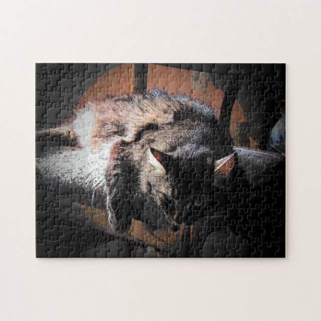 Katt eller ditt fotopussel (Horisontell)