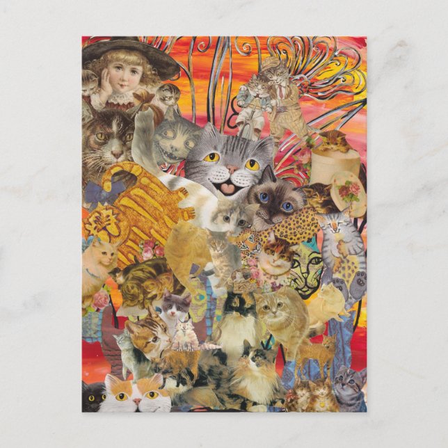 Katt ett stort vykort (Framsida)