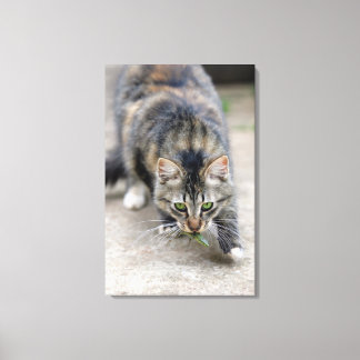 katt fångad i ödla canvastryck