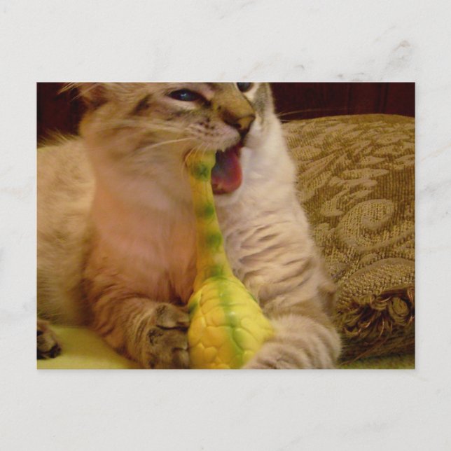 Katt får dinosaur-vykort vykort (Framsida)