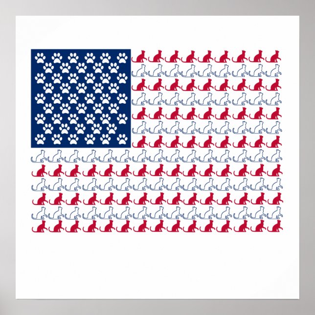 Katt Flagga Poster (Framsidan)