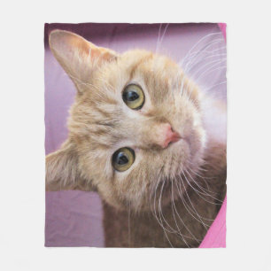 Katt Fleecefilt