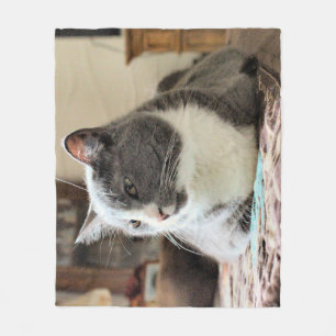 Katt Fleecefilt