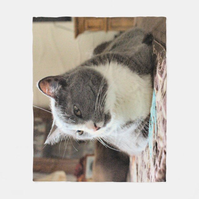 Katt Fleecefilt (Framsidan)