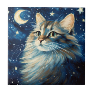 Katt fluffart på natten kakelplatta