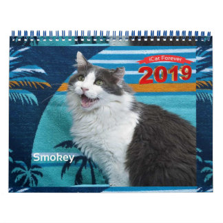 Katt för 2019 Kalender