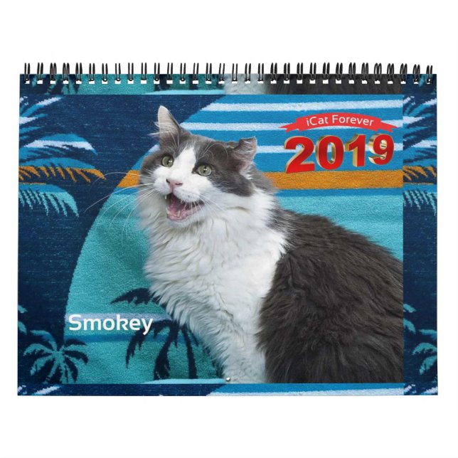 Katt för 2019 Kalender (Omslag)