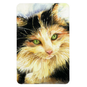 Katt för Calico 0010 Magnet