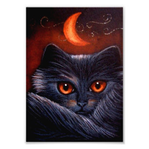 KATT FÖR HALLOWEEN FANTASISVART & ORANGEMÅNETRYC FOTOTRYCK