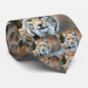 Katt för rovdjur för lodjurBobcatdjurliv Slips