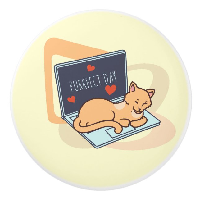 Katt för slumrande dator knopp (Framsidan)