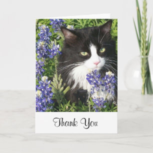 Katt för tackkortsmoking i Texas Bluebonnets Tack Kort