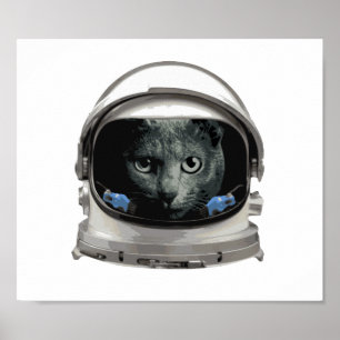 Katt för utrymmehjälmastronaut poster