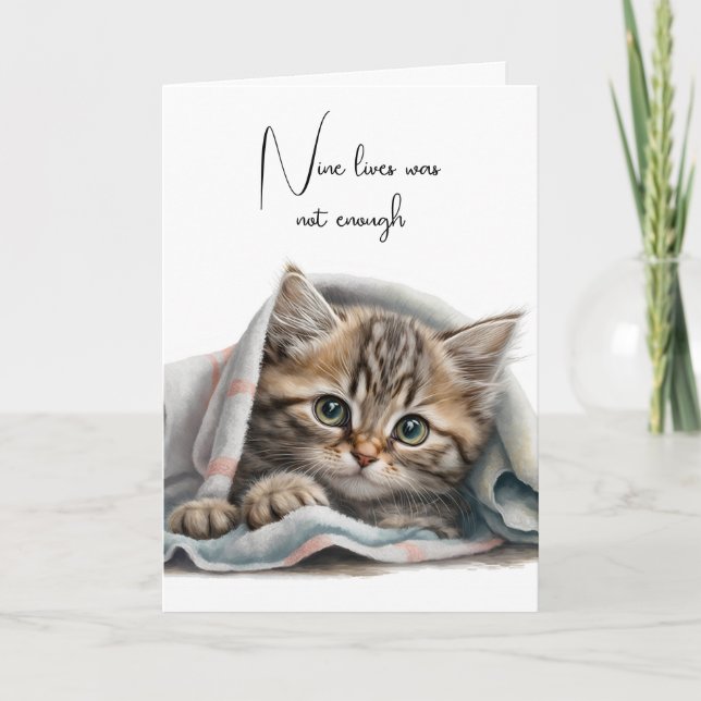 Katt Förlorad i en Filta Kort (Framsida)