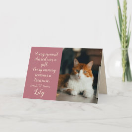 Katt Förlorad Sympatikort Foto Husdjur Namn Roségu Kort