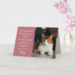 Katt Förlorad Sympatikort Foto Husdjur Namn Roségu Kort