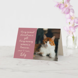 Katt Förlorad Sympatikort Foto Husdjur Namn Roségu Kort