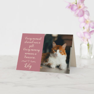 Katt Förlorad Sympatikort Foto Husdjur Namn Roségu Kort