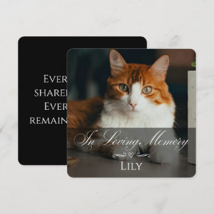 Katt Förlorad Sympatikort med Husdjurs Foto & Namn