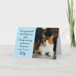 Katt Förlorad Sympatikort Personlig Foto Husdjur N Kort