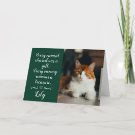 Katt Förlorad Sympatikort Personlig Foto Husdjur N Kort