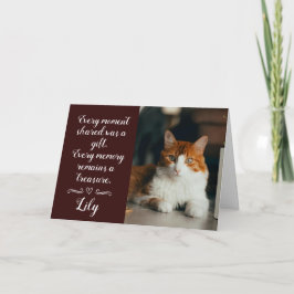 Katt Förlorad Sympatikort Personlig Foto Husdjur N Kort