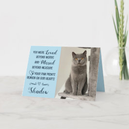 Katt Förlorad Sympatikort Personlig Foto Husdjur N Kort