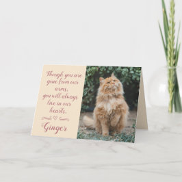 Katt Förlorad Sympatikort Personligt Foto Husdjur Kort