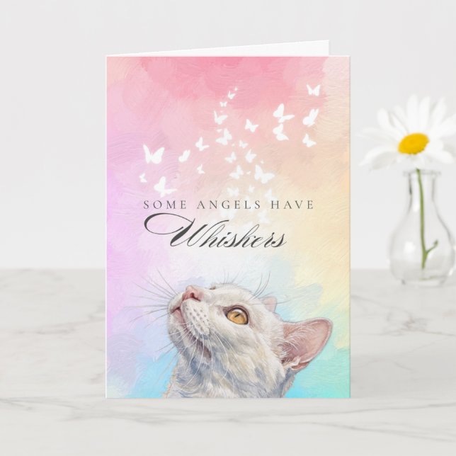 Katt Förlust Sympati Vitt Fjärilregnbåge Kort (Liten växt)