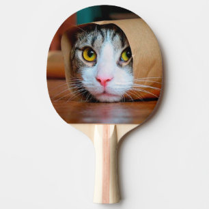 Katt förpackad i brun papper pingisracket