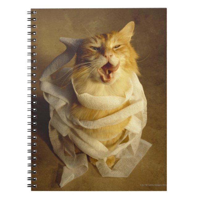 Katt förpackad i kompress anteckningsbok (Framsidan)