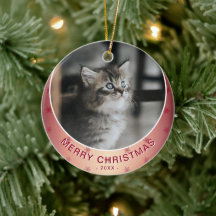 Katt Foto Röd Snöflinga Metallisk Jul