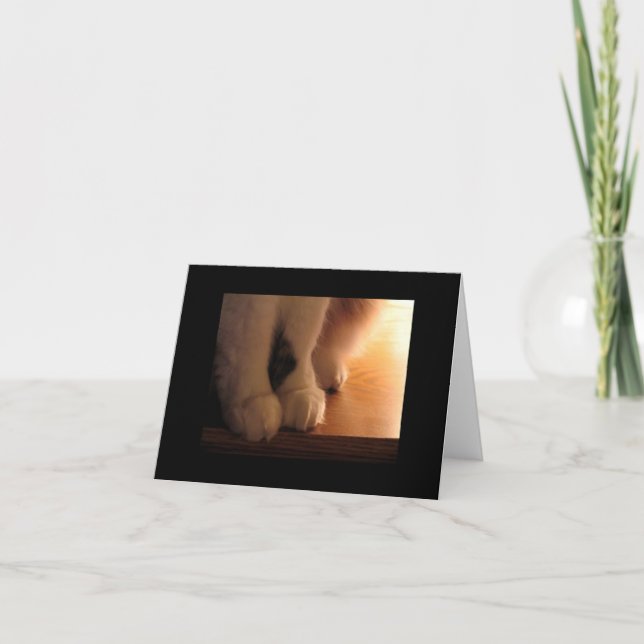 Katt fötter kort (Framsida)