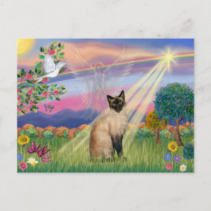 Katt från Siamese - Cloud Angel Vykort