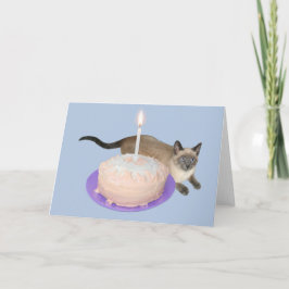 Katt från Siamese med födelsedagskummel Kort