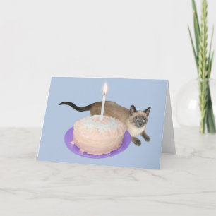 Katt från Siamese med födelsedagskummel Kort