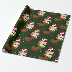 Katt från Siamese med strumpor och julhatt Presentpapper