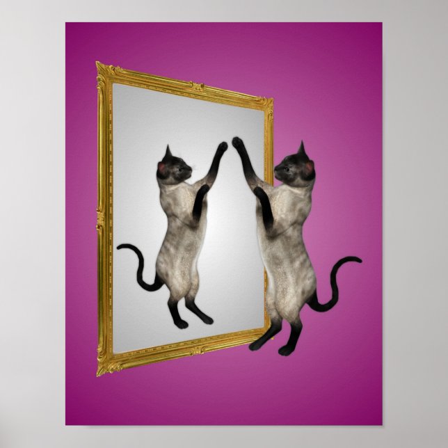 Katt från Siamese på ett Spegel-djur Poster (Framsidan)