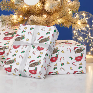 Katt från Snö-vinter vid jul Presentpapper