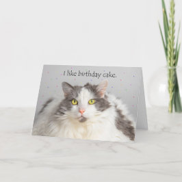 Katt från Tjock i grattis på födelsedagen är en bi Helgkort
