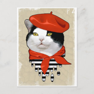 Katt. Frenchman Vykort