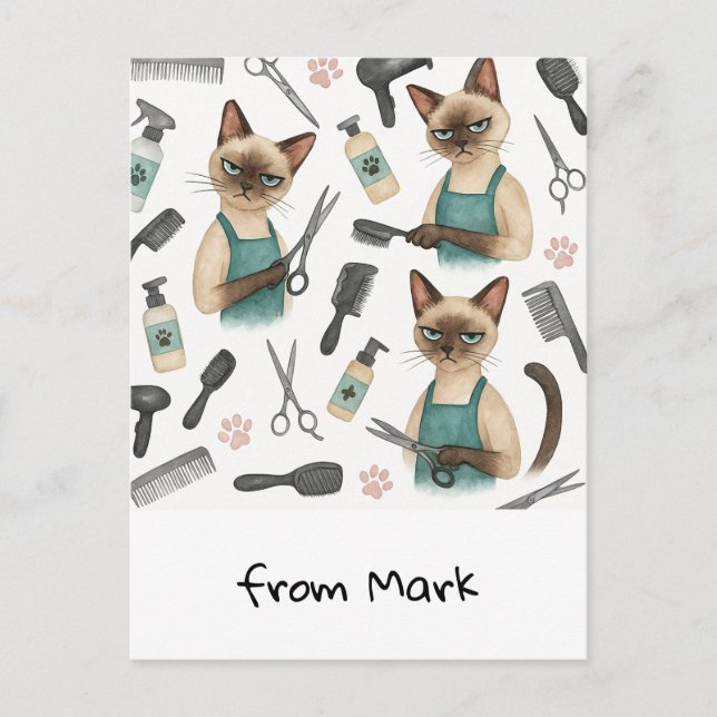 Katt Frisörska  Vykort (Framsida)