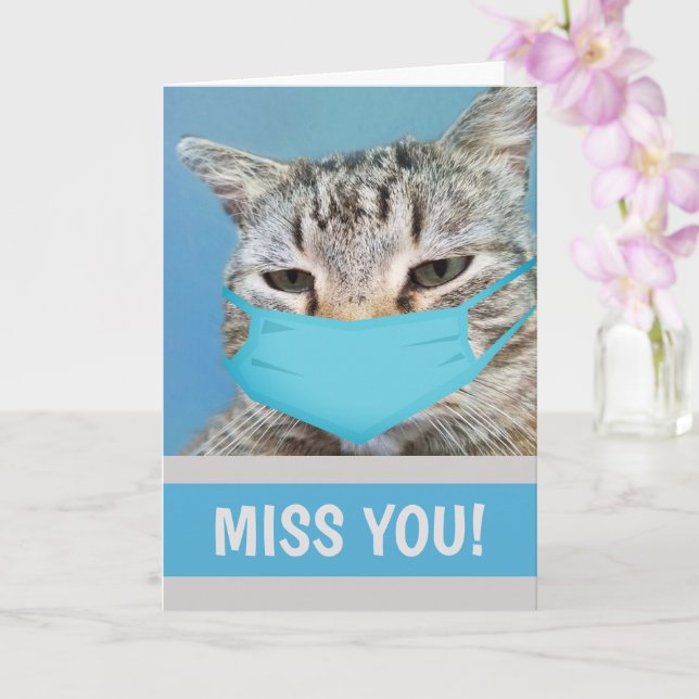 Katt fröken dig en hel del kort (Orkide)