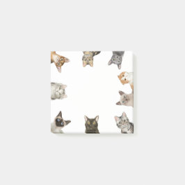 Katt | Funny Cat Lover Post-it Block