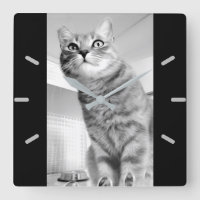 Katt