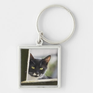 Katt Fyrkantig Silverfärgad Nyckelring