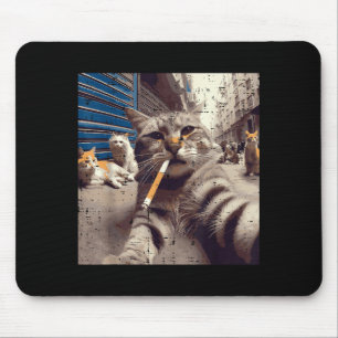 Katt Gangster Gatur Katter Selfie Roligt Meme Humo Musmatta