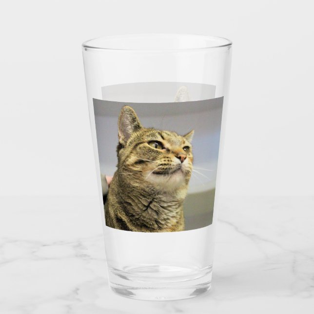 Katt Glaskopp (Framsida)