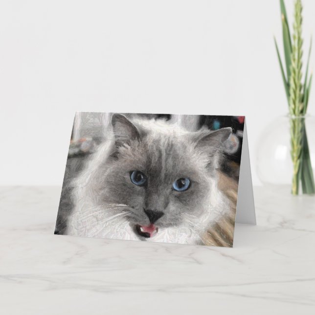 Katt gratulationskort kort (Framsida)